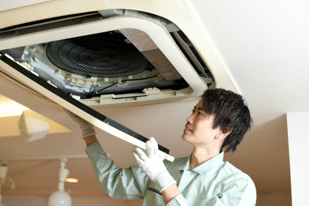 Best Affordable Air Duct Cleaning  in Hayfield, MN